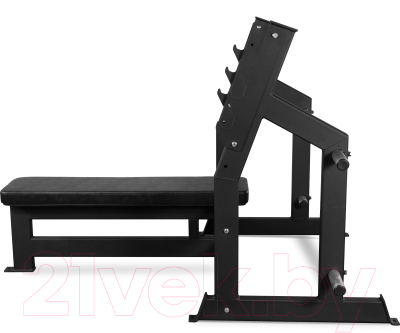 Изображение товара Скамья для жима штанги Bronze Gym AL-304