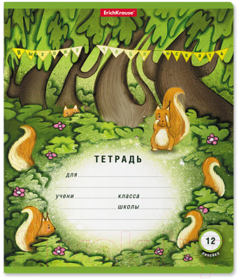 Изображение товара Тетрадь Erich Krause Прятки / 51410 (12л, линейка)