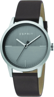 

Часы наручные мужские Esprit, ES1G109L0015