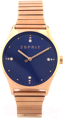 Часы наручные женские Esprit ES1L032E0085