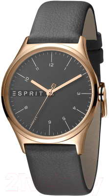 Часы наручные мужские Esprit ES1L034L0045