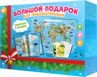 

Развивающий игровой набор Геодом, Животные и растения. Большой новогодний подарок / 3095