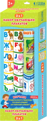 

Развивающий плакат Геодом, Набор обучающих плакатов 3 в 1 / 6805