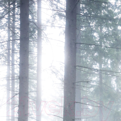 Фотообои листовые Citydecor Лес в тумане 2 с защитным покрытием (400x254)