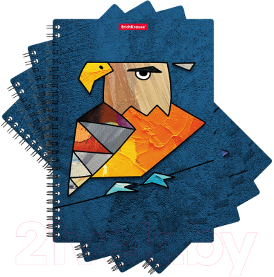 Тетрадь Erich Krause Birds / 53152 (80л, клетка)