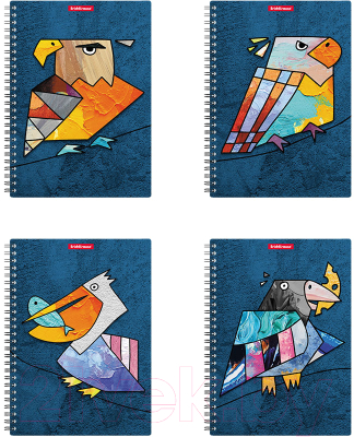 Тетрадь Erich Krause Birds / 53153 (80л, клетка)