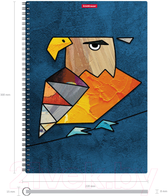 Тетрадь Erich Krause Birds / 53153 (80л, клетка)