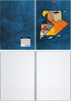 Тетрадь Erich Krause Birds / 53153 (80л, клетка)