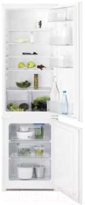Встраиваемый холодильник Electrolux RNT2LF18S