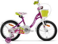 Детский велосипед AIST Skye 20 (фиолетовый) - 