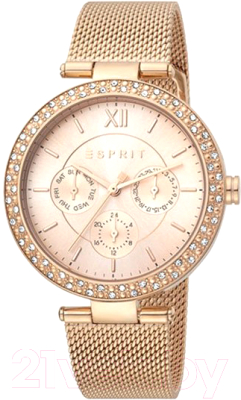 

Часы наручные женские Esprit, ES1L189M0095