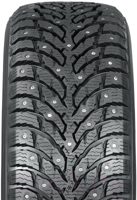 Зимняя шина Nokian Tyres Hakkapeliitta 9 205/55R17 95T (шипы)