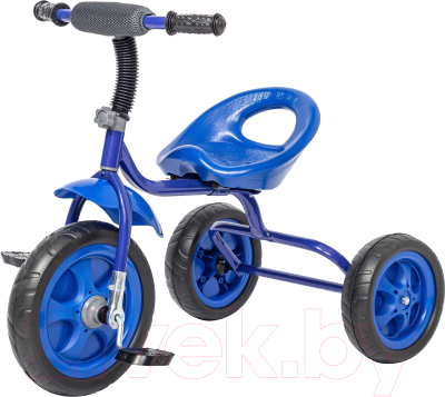 Трехколесный велосипед GalaXy Лучик Малют 4 (синий)