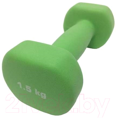 

Гантель Sport Elite, Зеленый, ES-0391