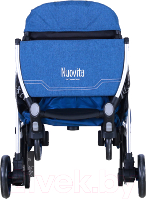 Детская прогулочная коляска Nuovita Giro Lux (волна/серебристая рама)