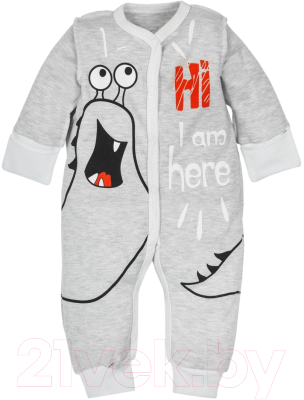 

Комбинезон для младенцев Amarobaby, Monsters / AMARO-ODM5-S0-62