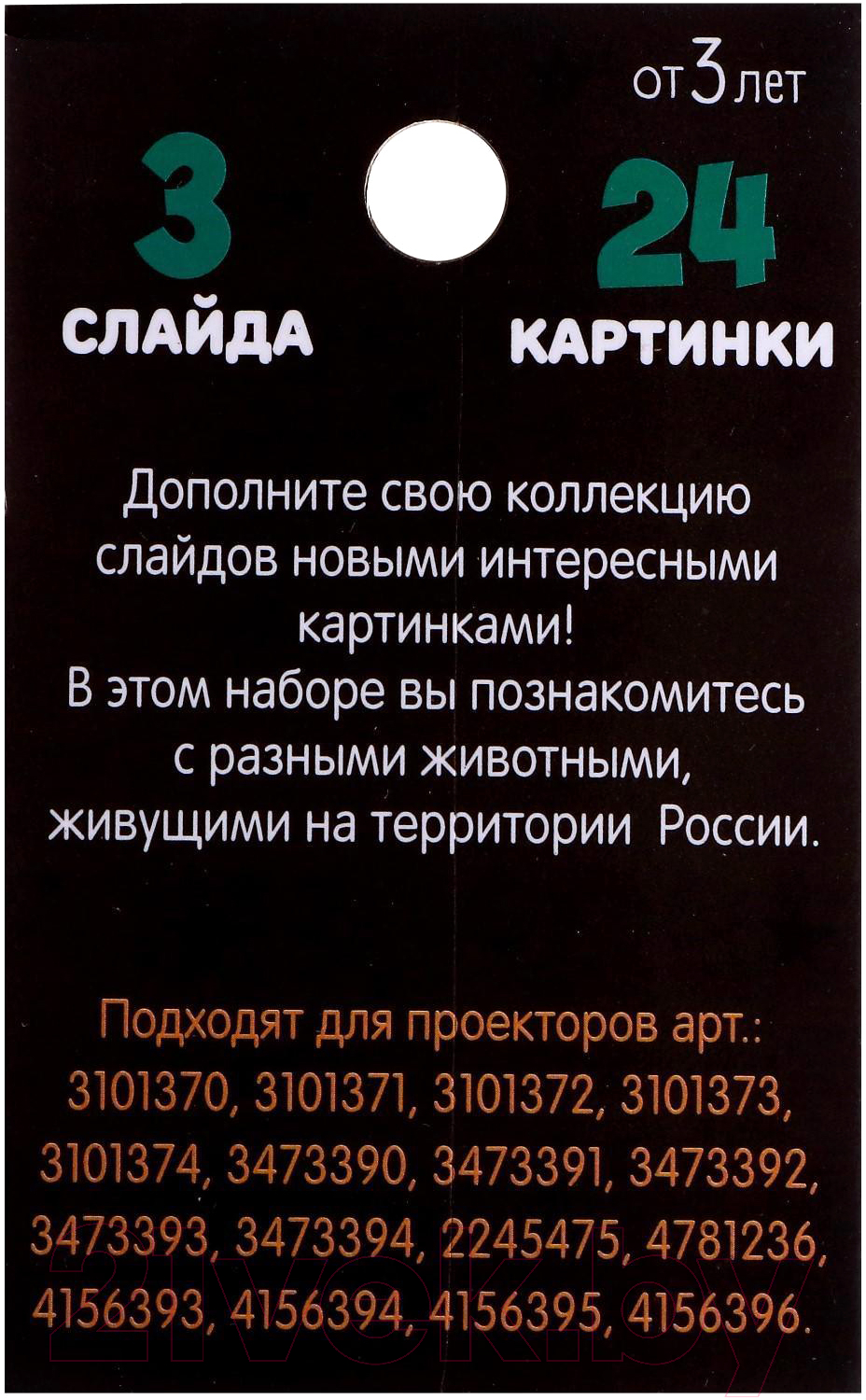 Развивающий игровой набор Zabiaka Животные России. Слайды для проектора / 5122620 — фото 4