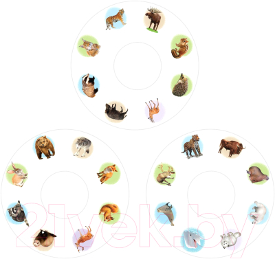Изображение товара Развивающий игровой набор Zabiaka Животные России. Слайды для проектора / 5122620