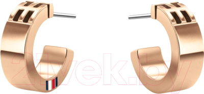 

Серьги Tommy Hilfiger, 2780417