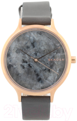 Часы наручные женские Skagen SKW2672