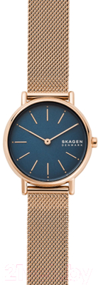 Часы наручные женские Skagen SKW2837