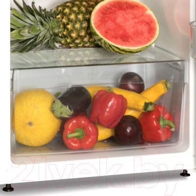 Холодильник с морозильником Snaige FR26SM-PR000E3