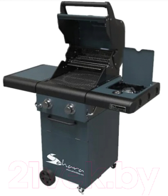 Газовый гриль Sahara X250 2 Burner BBQ / X250EW-ST (дымчатый )