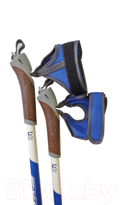 Палки для скандинавской ходьбы STC Extreme (115см, синий)