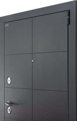 Входная дверь el'Porta Porta S 10.П50 Graphite Pro/Nordic Oak (98x205, левая)