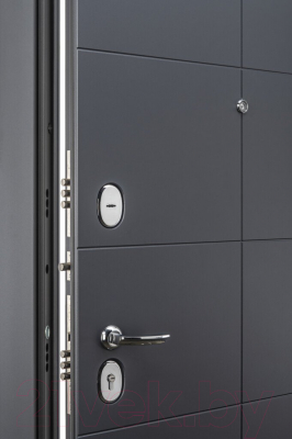 Входная дверь el'Porta Porta S 10.П50 Graphite Pro/Nordic Oak (98x205, правая)