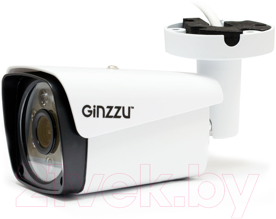IP-камера Ginzzu HIB-5301A