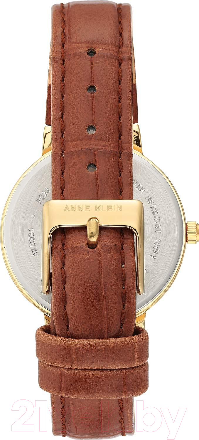 Часы наручные женские Anne Klein AK/3824CHHY