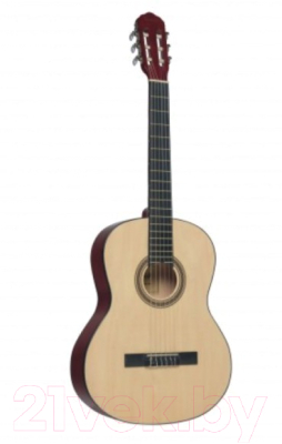 Акустическая гитара Terris TC-390A NA