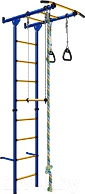 Детский спортивный комплекс Карусель 1 ДСКМ-2C-8.00.Г3.410.11-11 (синий/желтый)