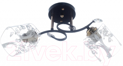 

Потолочный светильник Aitin-Pro, НПБ N4090/2