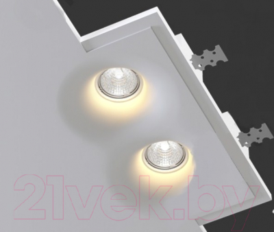 Потолочный светильник Eviro ВПС 2 305x185x52мм (белый)
