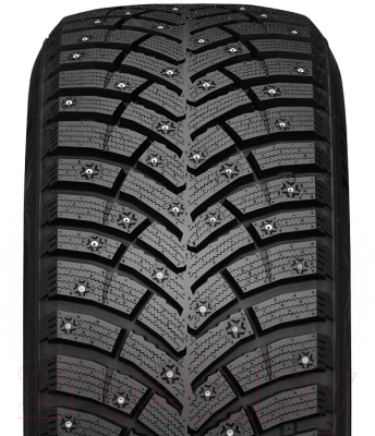 Зимняя шина Nexen Winguard Winspike 3 215/55R17 98T (шипы)