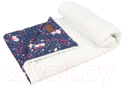 

Плед детский Amarobaby, Растем вместе Лисички / AMARO-62RV-Li