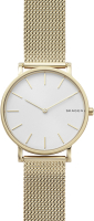 

Часы наручные мужские Skagen, SKW6443