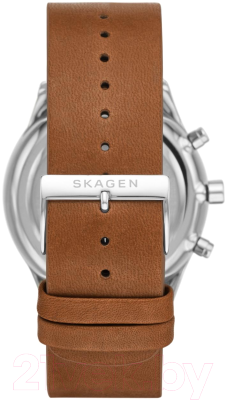 Часы наручные мужские Skagen SKW6732