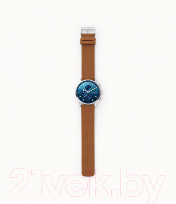 Часы наручные мужские Skagen SKW6732