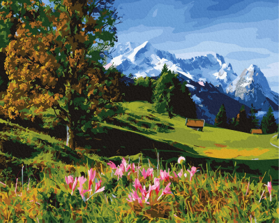 

Картина по номерам Farba, Истинная красота / DAB-25515