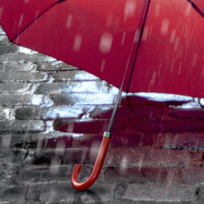 Фотообои листовые Citydecor Красный зонт (100x254)