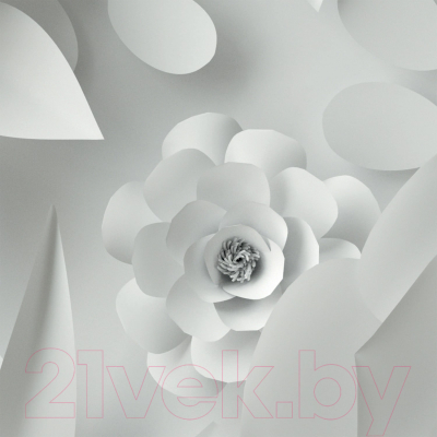 Фотообои листовые Citydecor Цветы модерн 3D (100x254)