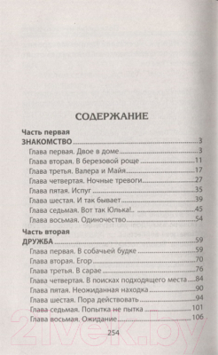 Книга Литера Гранд Невероятные истории. Похищение лучшего друга (Ситников Ю.)