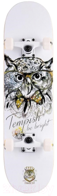 Лонгборд Tempish Golden Owl / 106000047