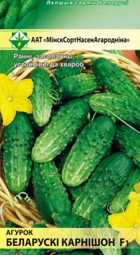 

Семена МинскСортСемОвощ, Огурцы. Белорусский корнишон F1