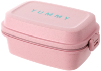 

Контейнер Miniso, Bento / 2753