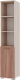 Стеллаж Памир ПКС-8 185.2x38.4x36 (ясень шимо темный/ясень шимо светлый) - 