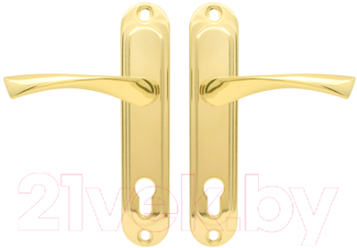 Ручка дверная Avers HP-85.0123-G (золото)